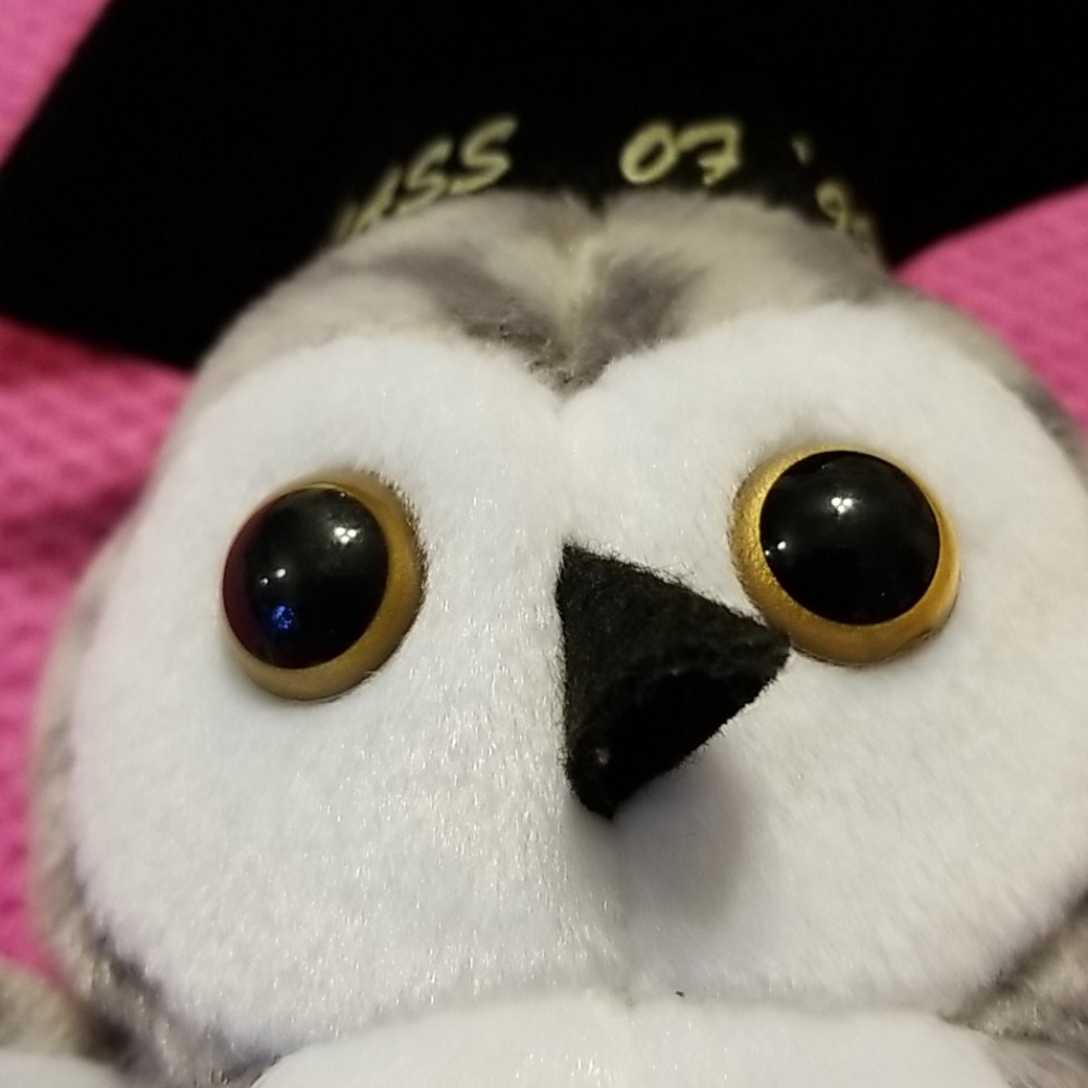 Vintage TY Beanie Baby Wiser the Owl 1999, Retired - Picture 7 of 10